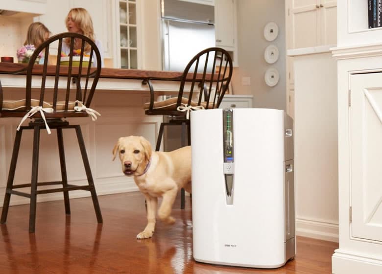 acheter un purificateur d’air pour maison avec animaux