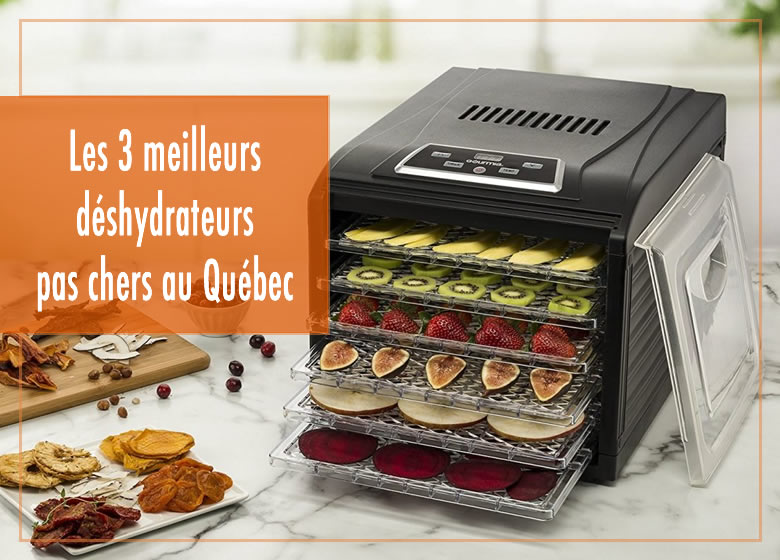 Les 3 meilleurs déshydrateurs pas chers au Québec