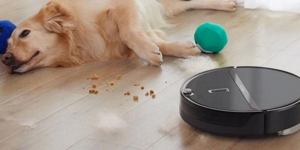 aspirateur robot poil chat chien